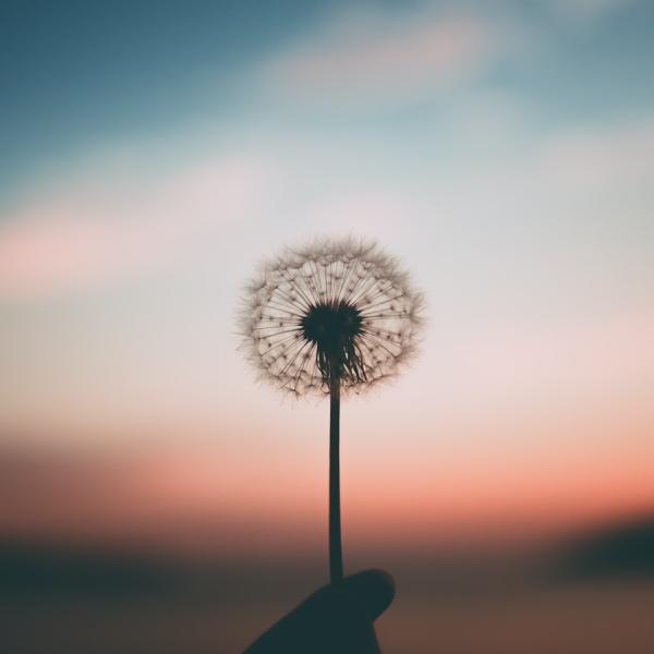 Mindfulness