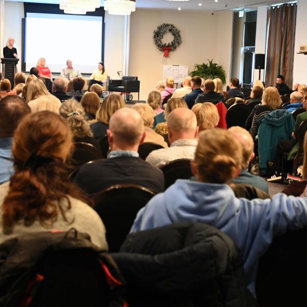 MS Ireland National Conference attendees
