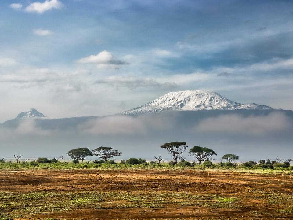 Kilimanjaro