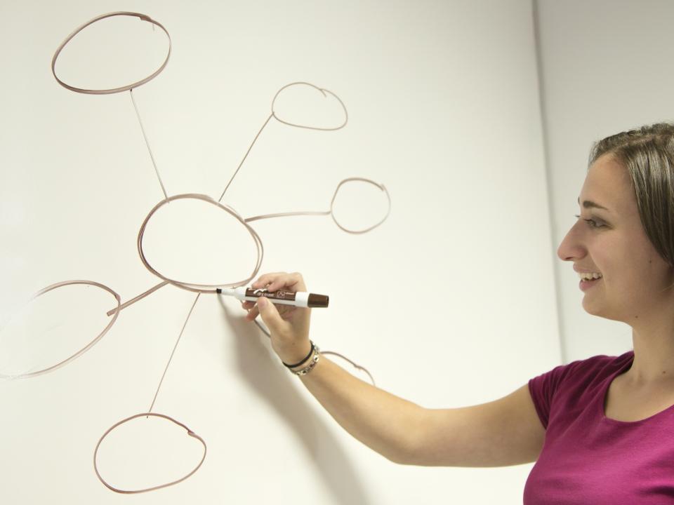 A woman with light brown hair wearing a pink tshirt and using a whiteboard marker to draw a circle diagram on a whiteboard.