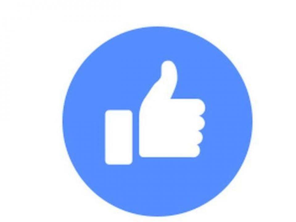 Facebook Thumb