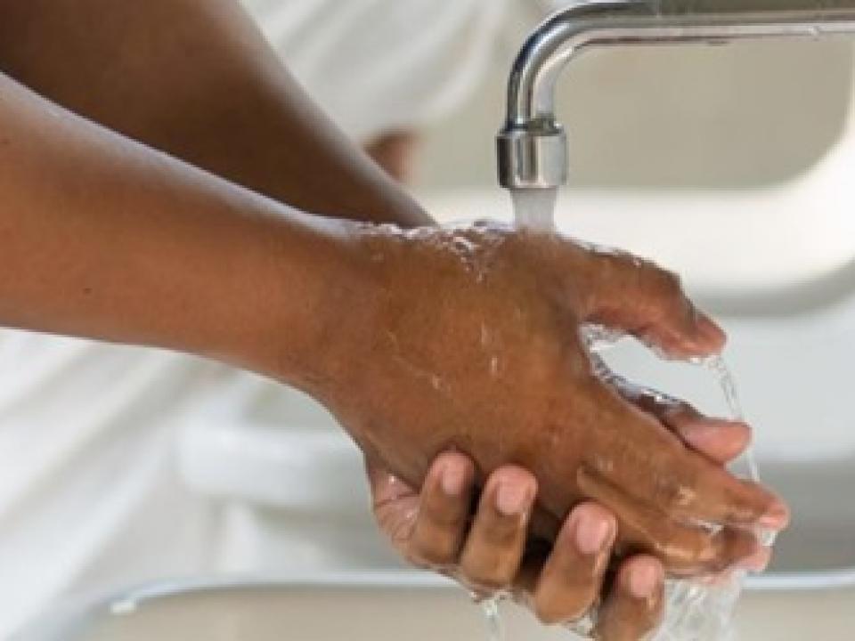 person washing their hands in a sink