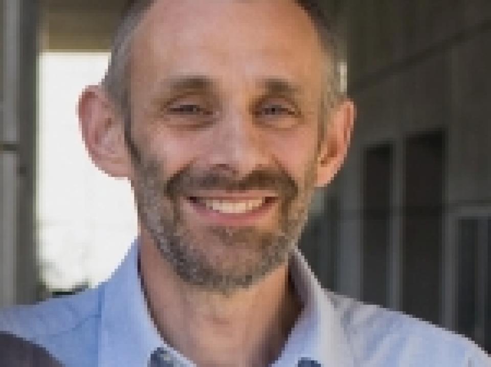 Professor Kingston Mills - research profiles