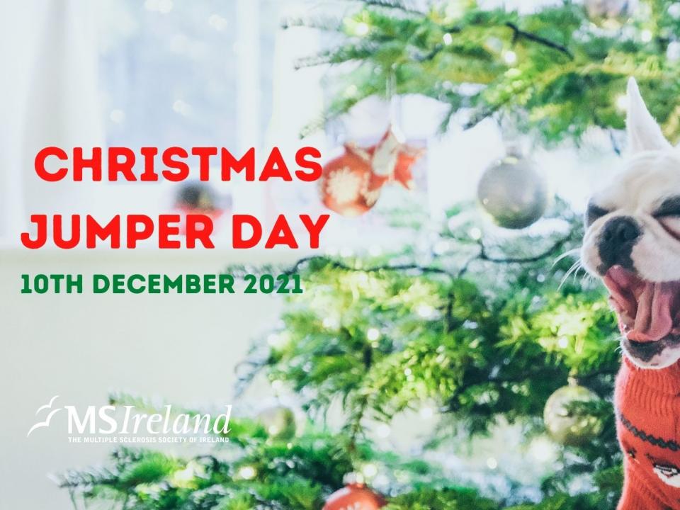 Fundraise With Us Ms Ireland